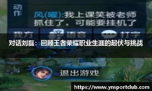 对话刘磊：回顾王者荣耀职业生涯的起伏与挑战