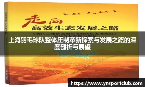 上海羽毛球队整体压制革新探索与发展之路的深度剖析与展望